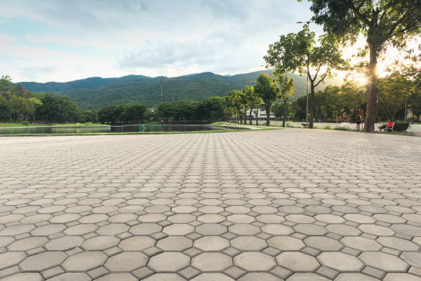 Best Concrete Paver Driveway  in West Sharyland, TX
